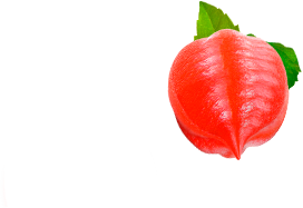 Cereza de café orgánico